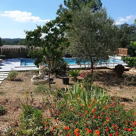 Casa San Niolo Apartment