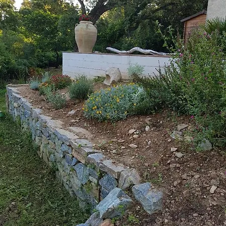 Διαμέρισμα Casa San Niolo Cervione