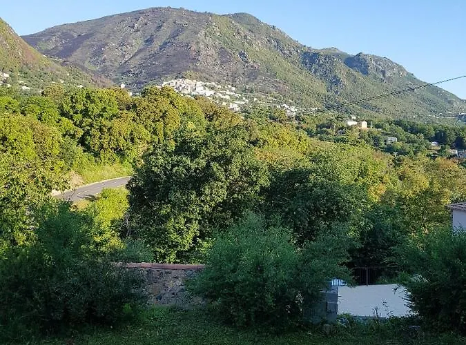 Apartamento Casa San Niolo Cervione